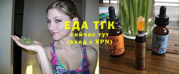 индика Вяземский