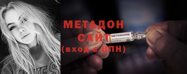 индика Вяземский