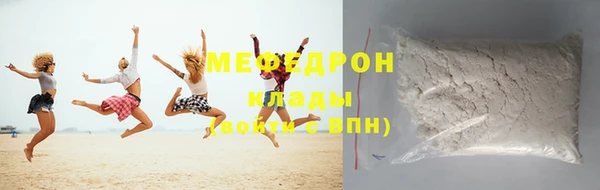 индика Вяземский
