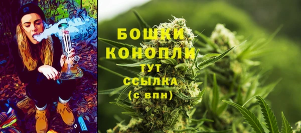 спайс Горняк