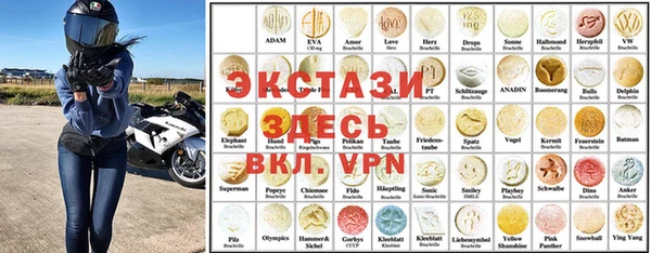 индика Вяземский