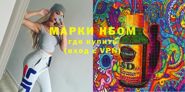 индика Вяземский