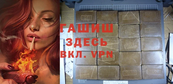 индика Вяземский