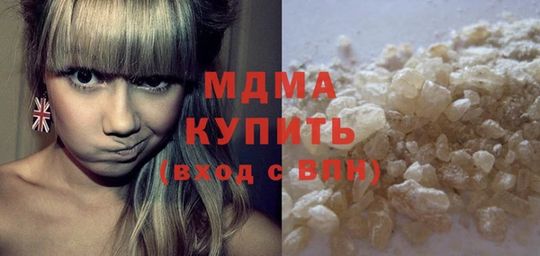 индика Вяземский