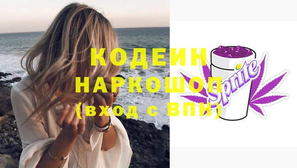 индика Вяземский